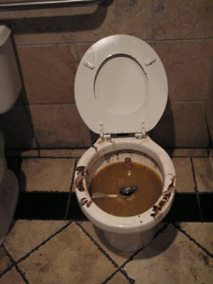 toilet-large.jpg