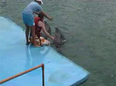 1181498056415.gif