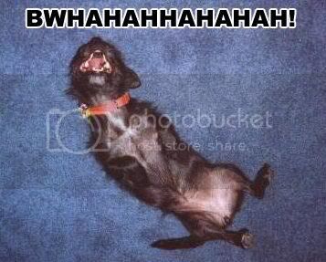 LOL-Doggy.jpg