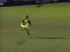 lolazo-1.gif