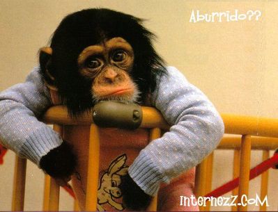 aburrido.jpg