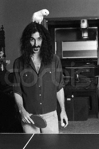 frank_zappa3.jpg