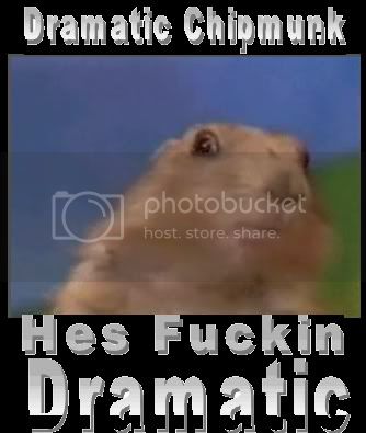 chipmunk.jpg