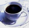 cafe_solo.jpg
