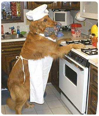 cocinero.jpg
