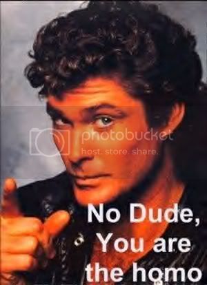 no-dude-you-are-the-homo.jpg