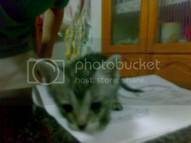 12062009749.jpg