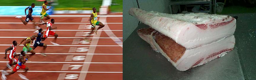 velocidad-con-tocino-google.jpg