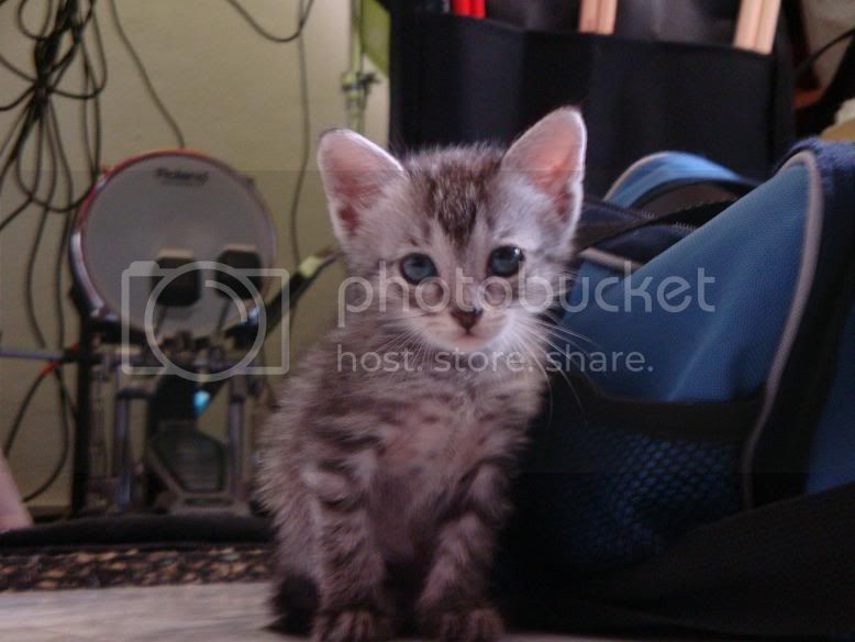 DSC00703web.jpg