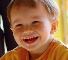 190693078_f842d9c7e1_m.jpg