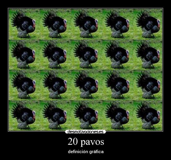 20pavos.jpg