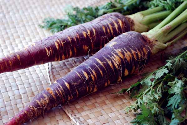 zanahoria-morada.jpg