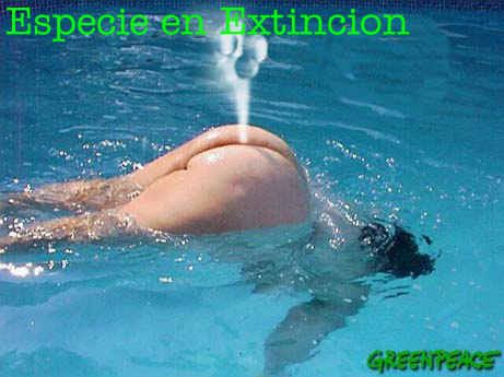 culo-agua.jpg