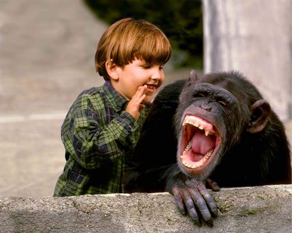 laughing_chimp.jpg