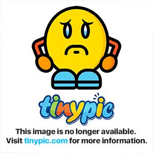 2ynp5wo.gif