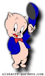 porky.jpg