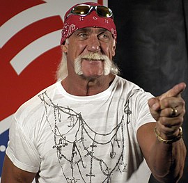 270px-Hulk_Hogan.jpg
