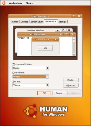 Human_for_Windows_by_FioreSSj.jpg