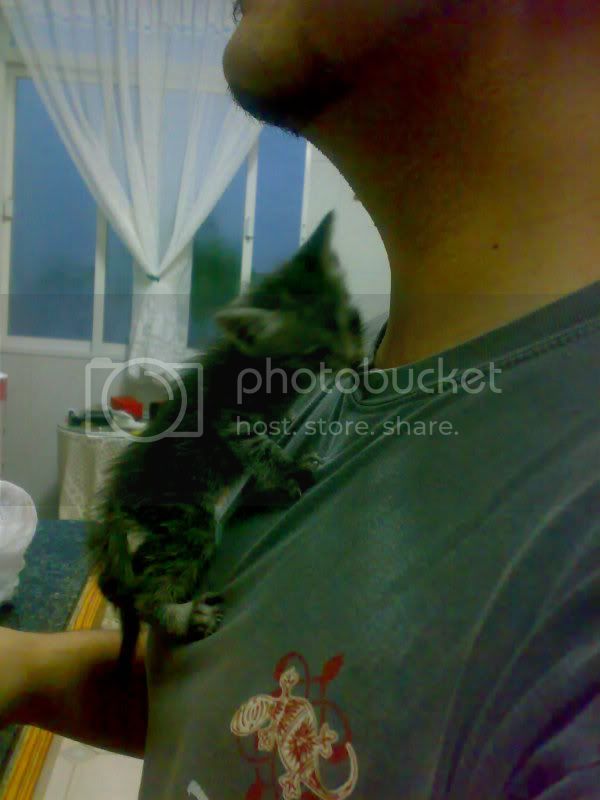 12062009747.jpg