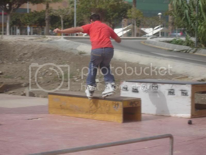DSC08440web.jpg