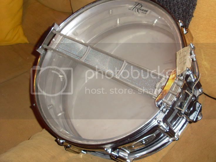 SL371578.jpg