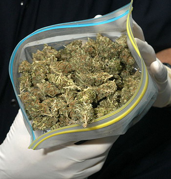closeupmarihuana.jpg