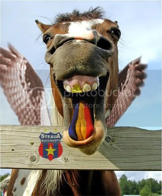 RomeinianFlaingJors.jpg