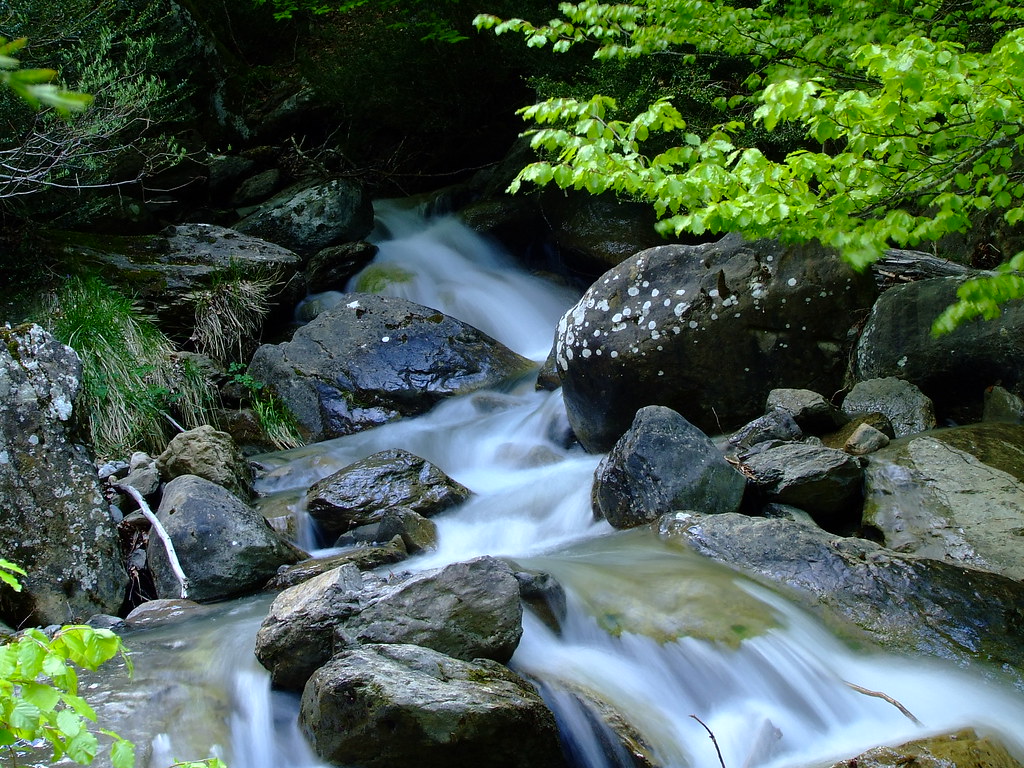 3560015701_376510ea29_b.jpg