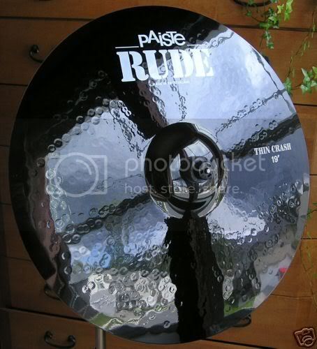 paisteruderhincrash19surw3.jpg