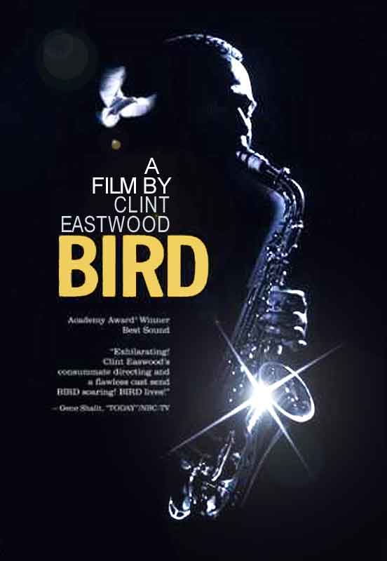 bird+film.jpg