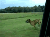 1205394166093.gif
