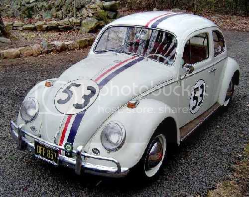 Herbie10Mar07LF5.jpg