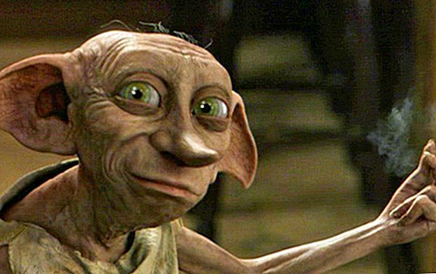 magical-puppy-born-in-argentina-looks-like-dobby-the-elfs-long-lost-twin-3.jpg